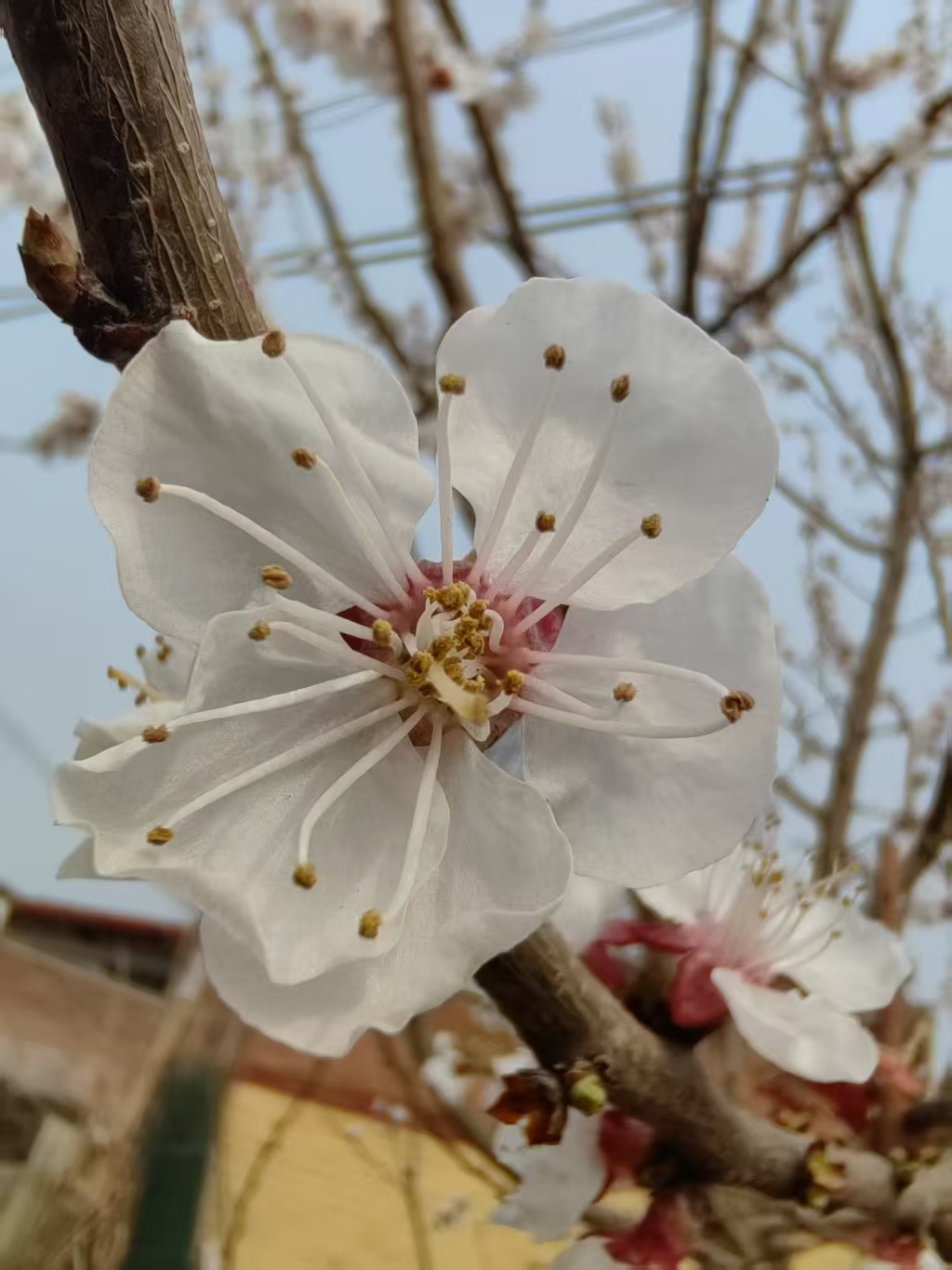 照片2